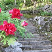 佐渡市にある花の寺としても有名