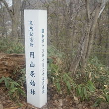 原生林を示す立派な標柱も建っていました