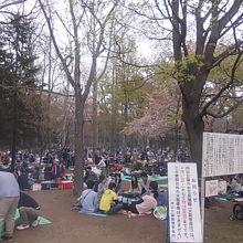 まさに”花より団子（ジンギスカン）”の集団で埋め尽くされます