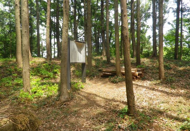 仙元山からの遊歩道沿いにあります