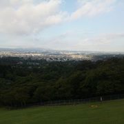 奈良公園が見下ろせます