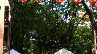 日本の道百選の道の中の道、杜の都仙台を象徴する通り