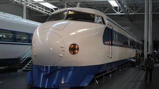 大人も楽しめる