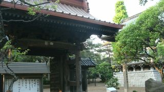 見所多し、ゆっくり廻ろう