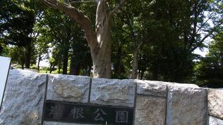 大きな公園です