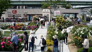 素敵なバラ園が都会の真ん中に♪