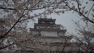 会津若松鶴ヶ城の桜