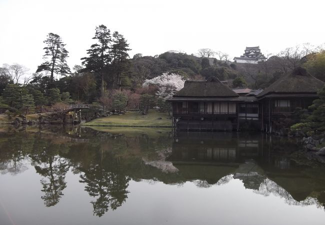 玄宮園からみえる彦根城天守 