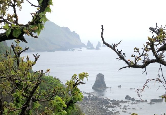 大野亀が見える