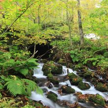 道路の反対側にも小さな段差
