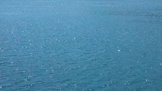 海上からの大鳥居は素晴らしい