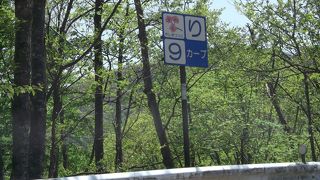 カーブが４８か所・・・