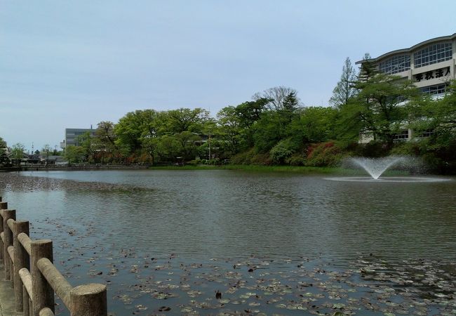 秋田平野