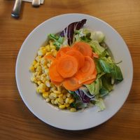 夕食（前菜）サラダ