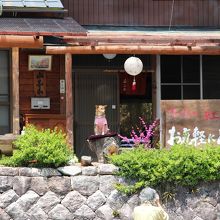 可愛い犬がお出迎え