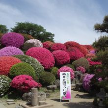 記念撮影に最適箇所の一つ