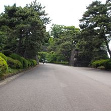 きれいな苑内です