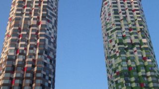 安全にツリーパウダーランを楽しめるスキー場