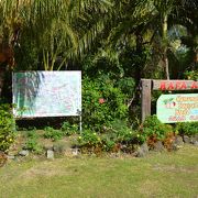 シニアの滞在グアム旅行　ハマモトフルーツ　楽しく過ごしました　　ＢＹおしどり