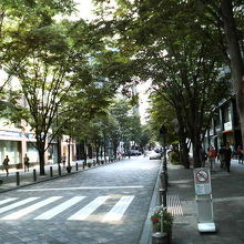 ビジネスマンがいない分、休みの日は比較的静かです。