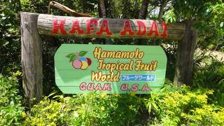 楽しい！おいしい！ハマモトトロピカルフルーツワールド