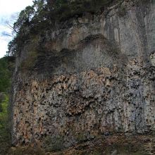 この写真で全体の1/6くらいかな