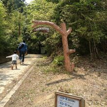 アスレチック。入り口と書いてるが、実は出口なのだ。