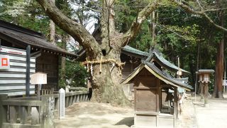 穂高神社本宮