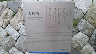 銀杏坂交差点の角