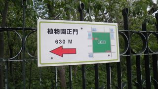 自然を感じられる北海道大学植物園