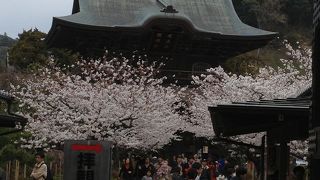 お寺以外も見応えたっぷりです。