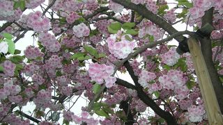 10年ぶりに行きました。