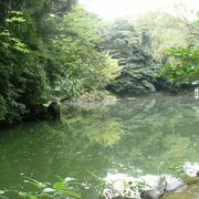 思った以上に高低差がある庭園