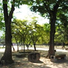 ゆったりとした空間