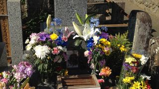 献花が絶えないお墓