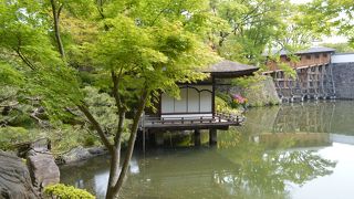 シニアの旅行　和歌山城　紅葉渓庭園でお抹茶をいただきました　　ＢＹおしどり