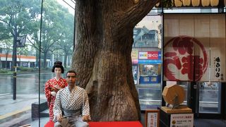 店内には、西郷隆盛と篤姫の人形があって、ちょっと面白いです