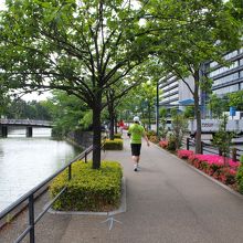 周囲にはランナーがたくさんいます