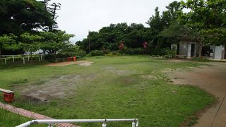 那覇市内の中心に広がるうっそうとした森