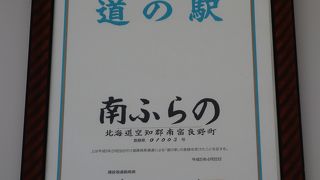 熊と記念撮影ができます。