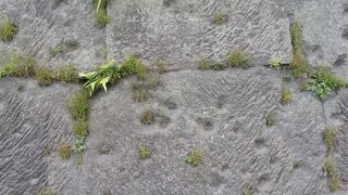 西南戦争の傷跡がまざまざと感じられる場所