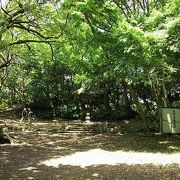 由緒ある低山　【高麗山】