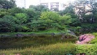 ハートのオブジェ