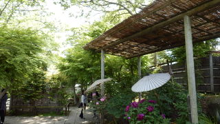 大きなボタンが見ごたえあり