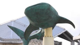 水族館も素敵だけどその周りの公園もいい