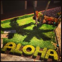 こんなキュートに芝生が手入れされております(^.^)