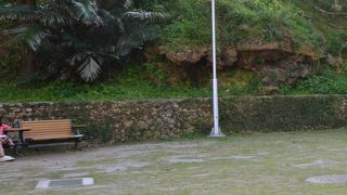 遊びに行ってきました。