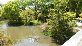 鶴岡八幡宮の門をくぐって