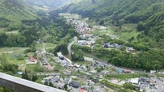 新緑と藤の花が美しい季節です