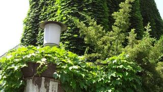 緑で覆われた建物